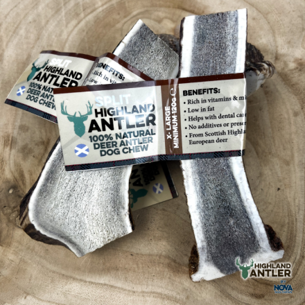 Antos XL split antler