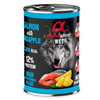 Alpha spirit salmon & pineapple tin 400g