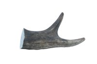 Small deer antler