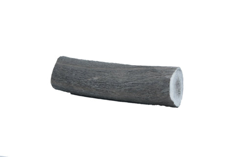 Large deer antler