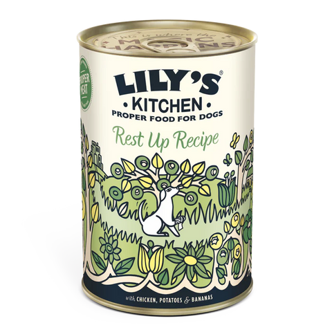 Lilys Kitchen Recovery Recipe Can  400g