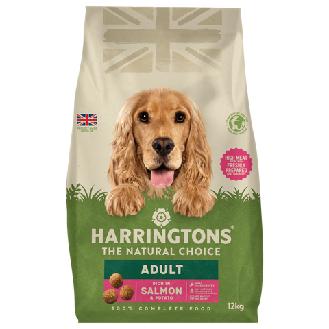 Harringtons adult salmon 12kg