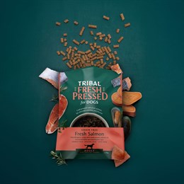 Tribal Fresh Salmon 12kg