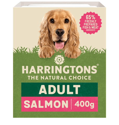 Harringtons fresh cook salmon tray 400g