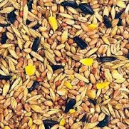 Winter food seeds 1kg
