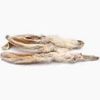 Five rabbit ears