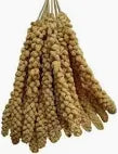 Millet
