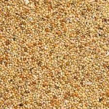 Budgie seeds 2kg