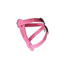 Ezydog Chest Plate Harness Pink S