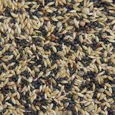 Canary seed 1kg