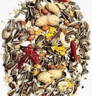 Feast parrot food 1kg