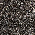 Niger seeds 25kg