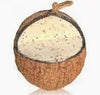 Bird song whole coconut feeder 410g