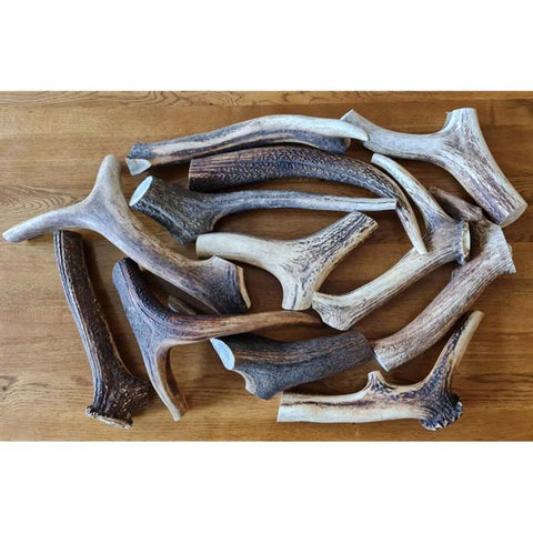 Split highland antler jumbo