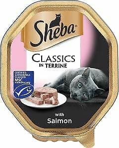 Sheba Classic Terrine Salmon 85g