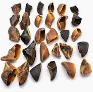 Hoof unfilled